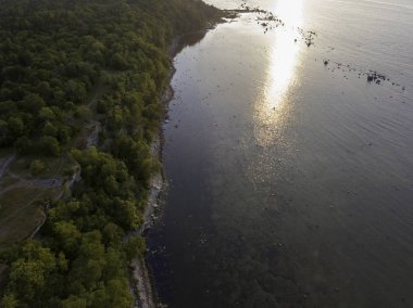 Estonya, Tallinn 'deki Eski Şehir' in manzaralı yaz manzarası.