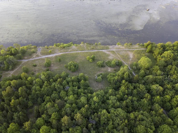 Estonya, Tallinn 'deki Eski Şehir' in manzaralı yaz manzarası.