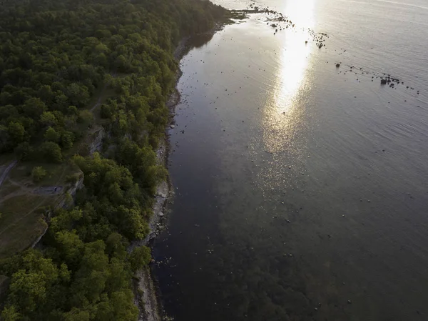 Estonya, Tallinn 'deki Eski Şehir' in manzaralı yaz manzarası.