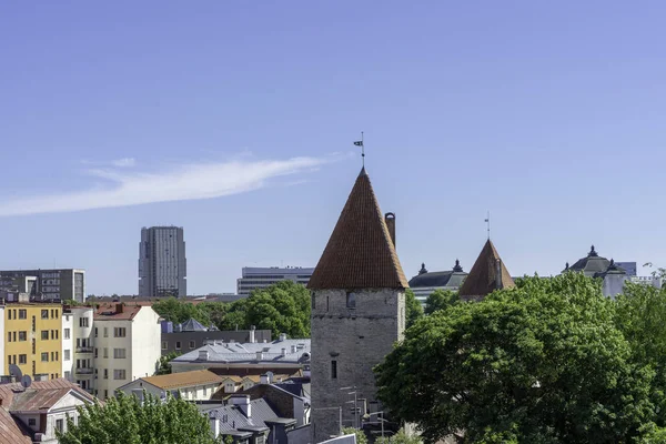 Tallinn tarihi eski şehir Cityscape üzerinde göster 