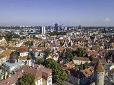 Estonya, Tallinn 'deki Eski Şehir' in manzaralı yaz manzarası.
