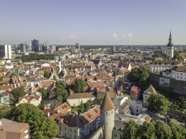 Estonya, Tallinn 'deki Eski Şehir' in manzaralı yaz manzarası.