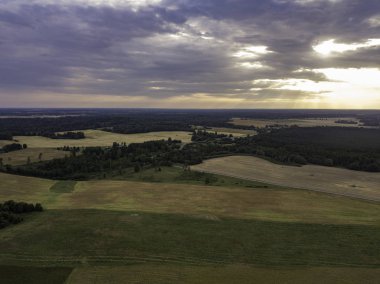 Gök olayları görüntülemek alanları yakınındaki güzel orman
