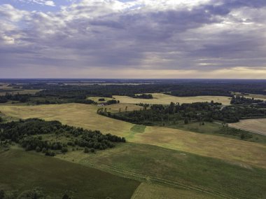 Gök olayları görüntülemek alanları yakınındaki güzel orman