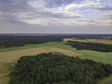 Gök olayları görüntülemek alanları yakınındaki güzel orman