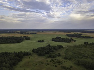 Gök olayları görüntülemek alanları yakınındaki güzel orman