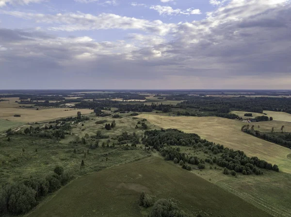 Gök olayları görüntülemek alanları yakınındaki güzel orman