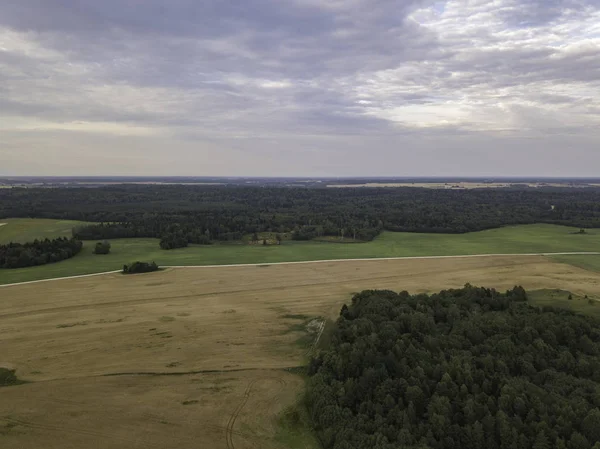 Вид Воздуха Красивый Лес Рядом Полями — стоковое фото