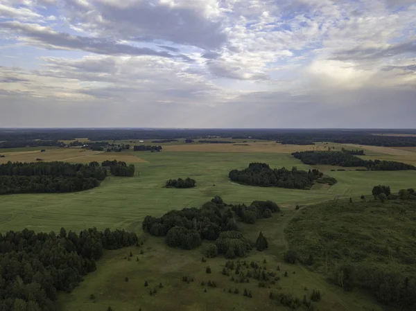 Gök olayları görüntülemek alanları yakınındaki güzel orman