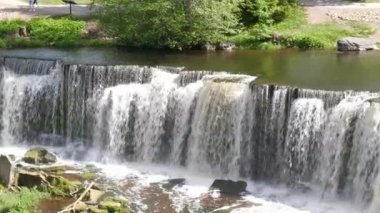 Estonya 'daki ormanda şelale