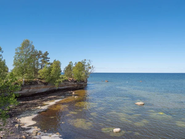 Östersjön Strand Med Träd — Stockfoto