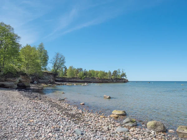Östersjön Strand Med Träd — Stockfoto