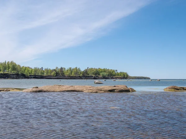 Östersjön Strand Med Träd — Stockfoto