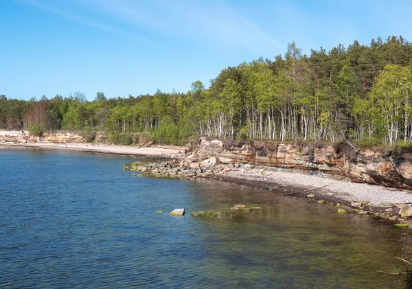 Östersjön Strand Med Träd — Stockfoto