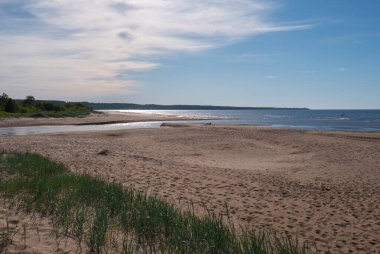 Kunda Estonya yakınlarında Baltık Denizi 'ndeki Temiz Sahil