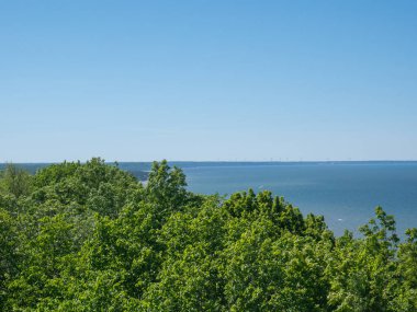 Yaz mevsiminde Baltık kıyıları