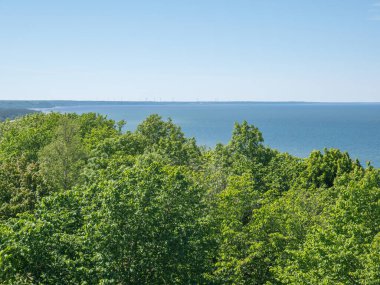 Yaz mevsiminde Baltık kıyıları