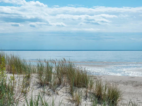 Wybrzeże Morza Bałtyckiego Okresie Letnim — Zdjęcie stockowe
