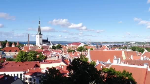 Yaz Mevsiminde Tallinn Estonya Manzarası — Stok video