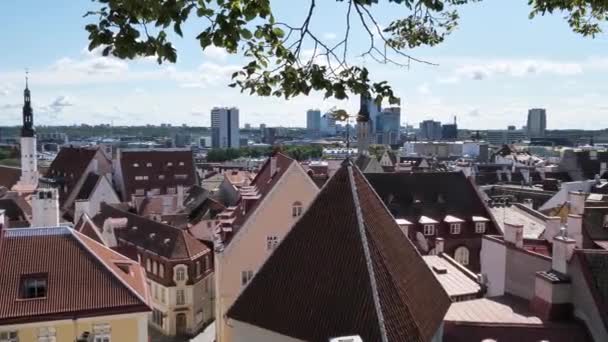 Vista Ciudad Vieja Tallinn Estonia Verano — Vídeos de Stock