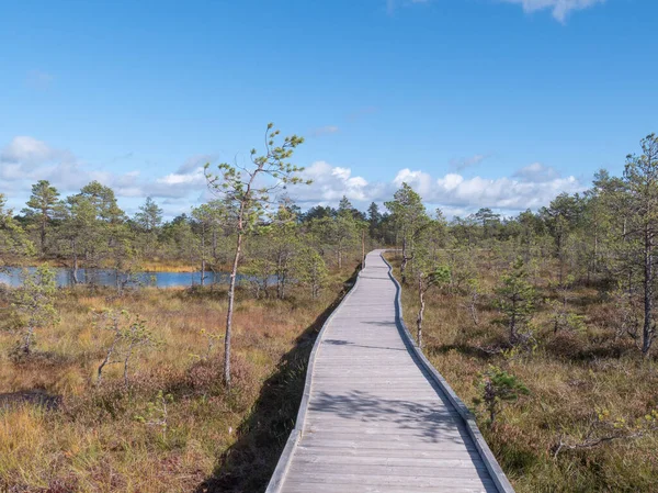 Viru Mossar Lahemaa Nationalpark — Stockfoto