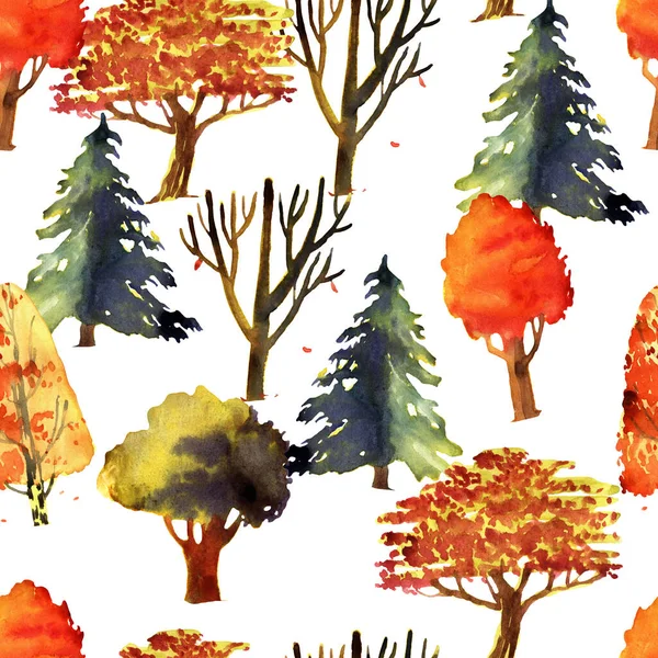 Bezešvé Vzor Ilustrace Podzimním Lesem Izolované Bílém Pozadí — Stock fotografie