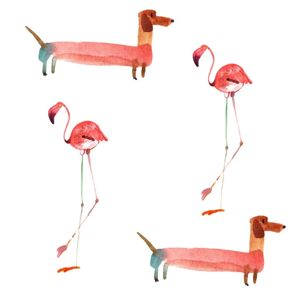 Ilustração Padrão Sem Costura Com Flamingos Cães Isolados Fundo Branco — Fotografia de Stock