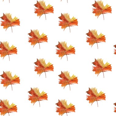 Sonbahar ormanı ve beyaz arka planda izole edilmiş yapraklarla kusursuz desenli çizimler.