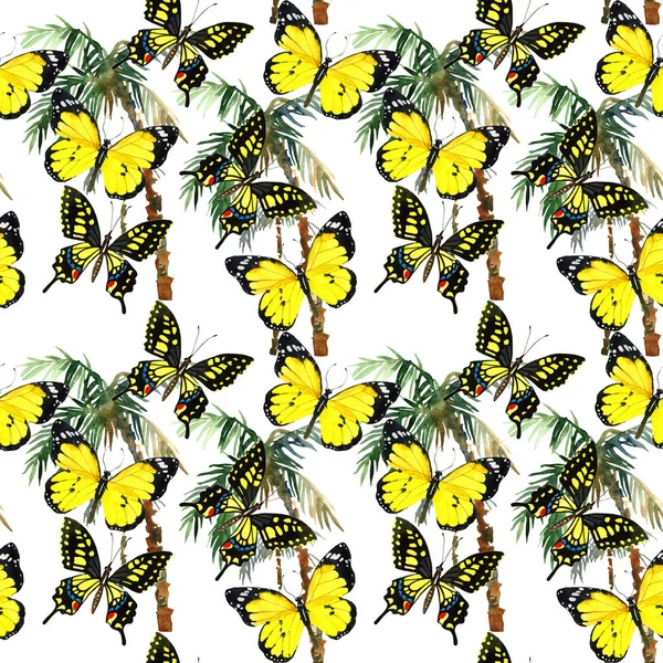Naadloze Aquarel Patroon Illustratie Met Palmen Vlinders Geïsoleerd Witte Achtergrond — Stockfoto