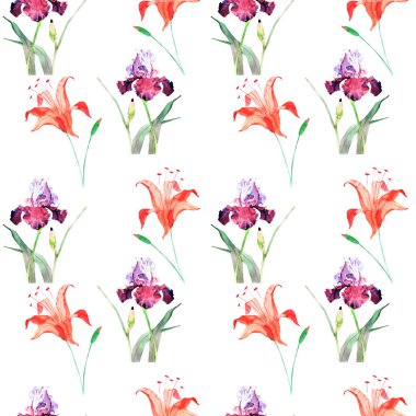 Suluboya çiçek deseni. El boyaması. Beyaz arkaplanda zambaklar ve zambaklarla izole edilmiş. 