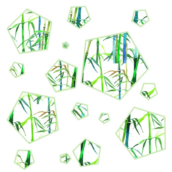 Бесшовная Иллюстрация Бамбуком Пятиугольниках Изолированных Белом Фоне — стоковое фото