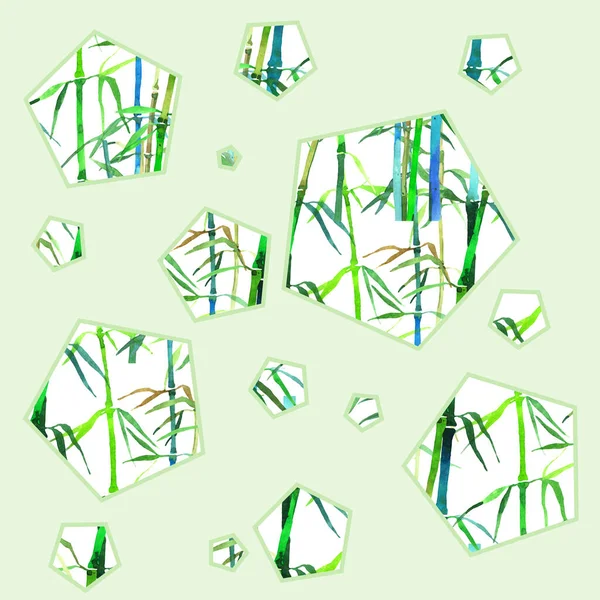 Sømløs Illustrasjon Med Bambus Pentagon Isolert Hvit Bakgrunn – stockfoto