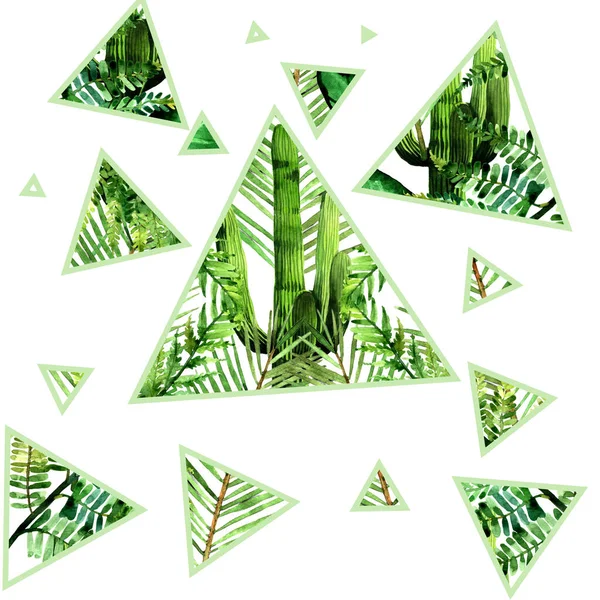 Illustration Sans Couture Avec Palmier Feuilles Fougère Cactus Triangles Isolés — Photo