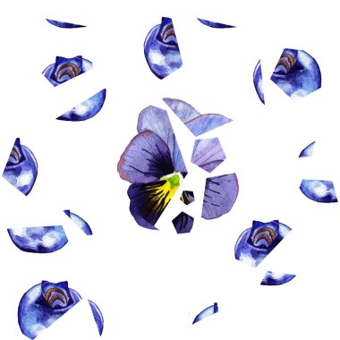 Beyaz arka planda izole edilmiş yaban mersini ve pancy çatlakları ile kusursuz desen 