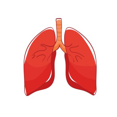 Beyaz arka plan üzerinde vektör akciğerler. İnsan organ doodle. 