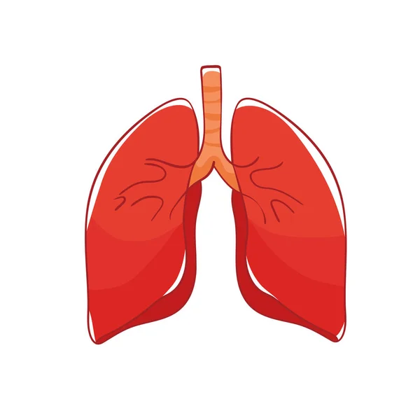 Vektor Lungen Auf Weißem Hintergrund Doodle Menschliches Organ — Stockvektor