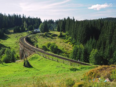 Carpatian dağlar yaz manzaraları Tren