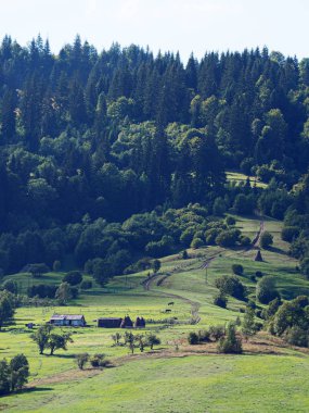 Üstten Carpatian dağlar görünüm