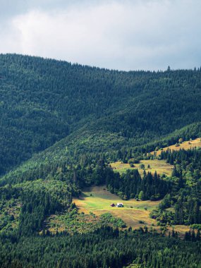 Carpatian dağlar yeşil orman köyünde 