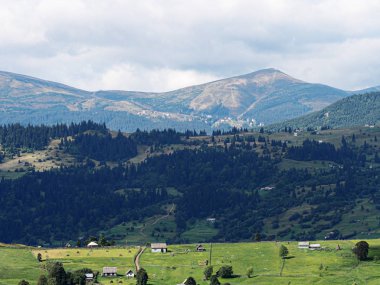 Yeşil orman köyünde Karpat Dağları 