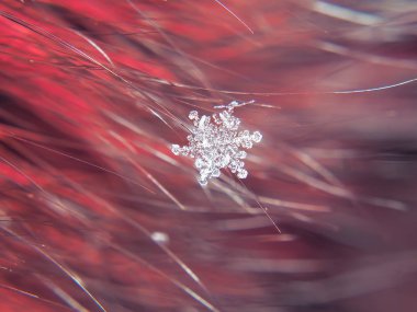 Kar tanesi güzel renkli arka plan makro üzerinde