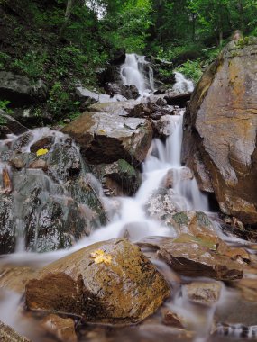Carpatian dağlar yeşil orman şelale