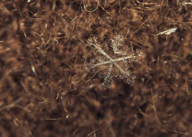 Kar tanesi kırmızı zemin üzerine büyük