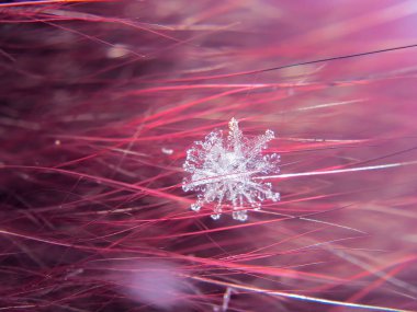 Kar tanesi güzel renkli arka plan makro üzerinde
