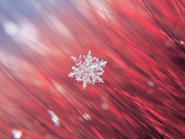 Kar tanesi güzel renkli arka plan makro üzerinde