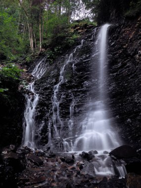 Şelale yeşil yağmurlu çam ormanı, carpatian Dağları 