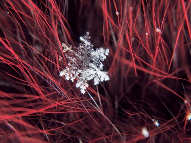 Kar tanesi güzel renkli arka plan makro üzerinde