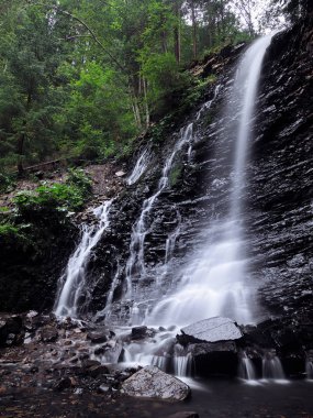 Şelale yeşil yağmurlu çam ormanı, carpatian Dağları 