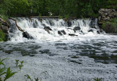 Şelale orman formunda büyük