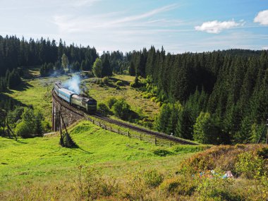 Carpatian dağlar yaz manzaraları Tren